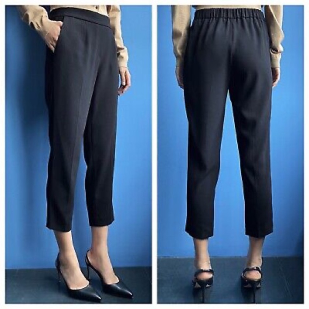 Aritzia Babaton Black Cohen Japanese Crepe Ankle Pleated Pants